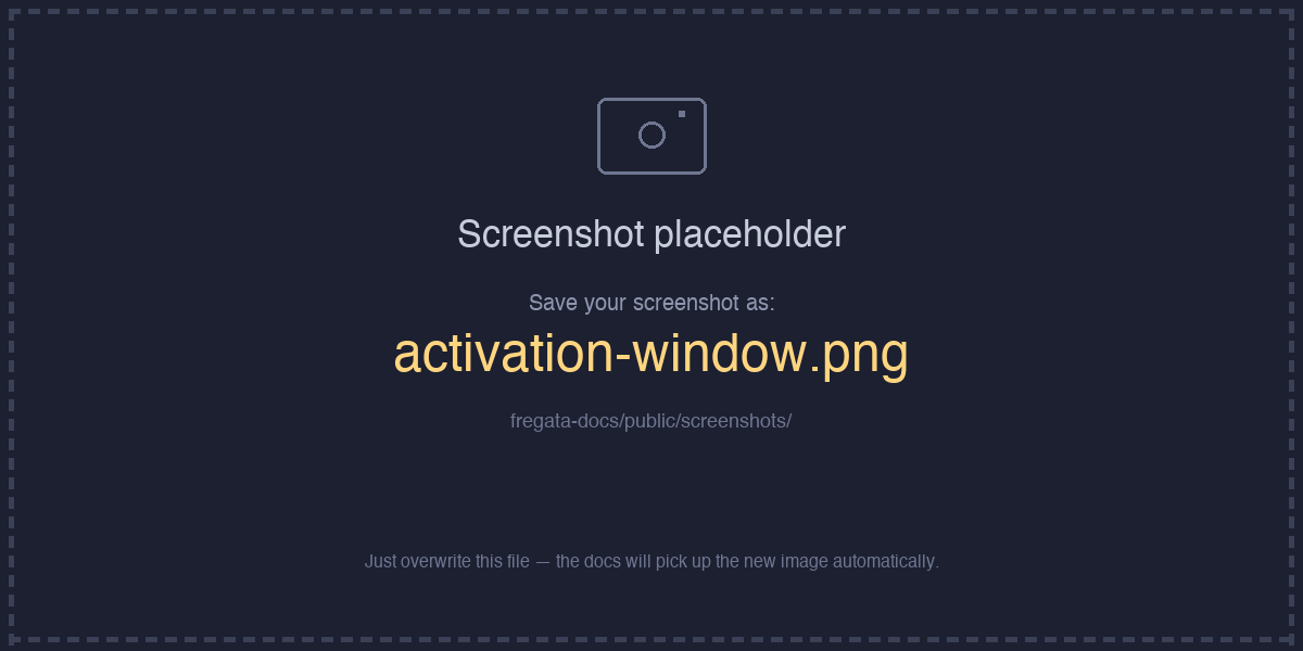 Activation window with email and key fields